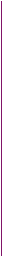 home_paises_separador